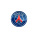 Paris Saint Germain (15)